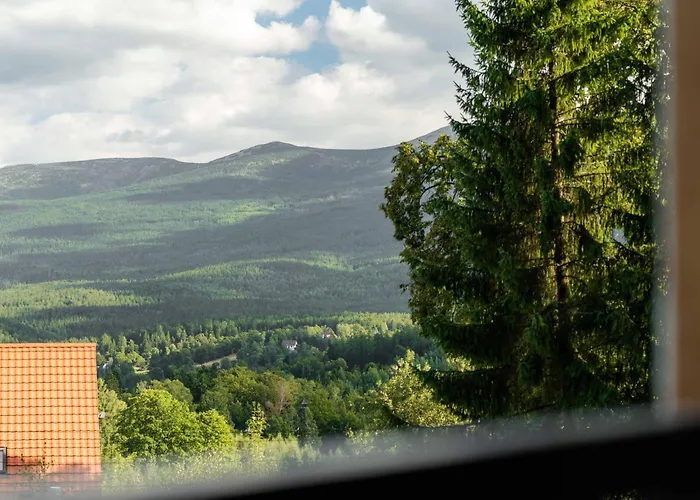 Dolina Szczescia Pine - Dream *